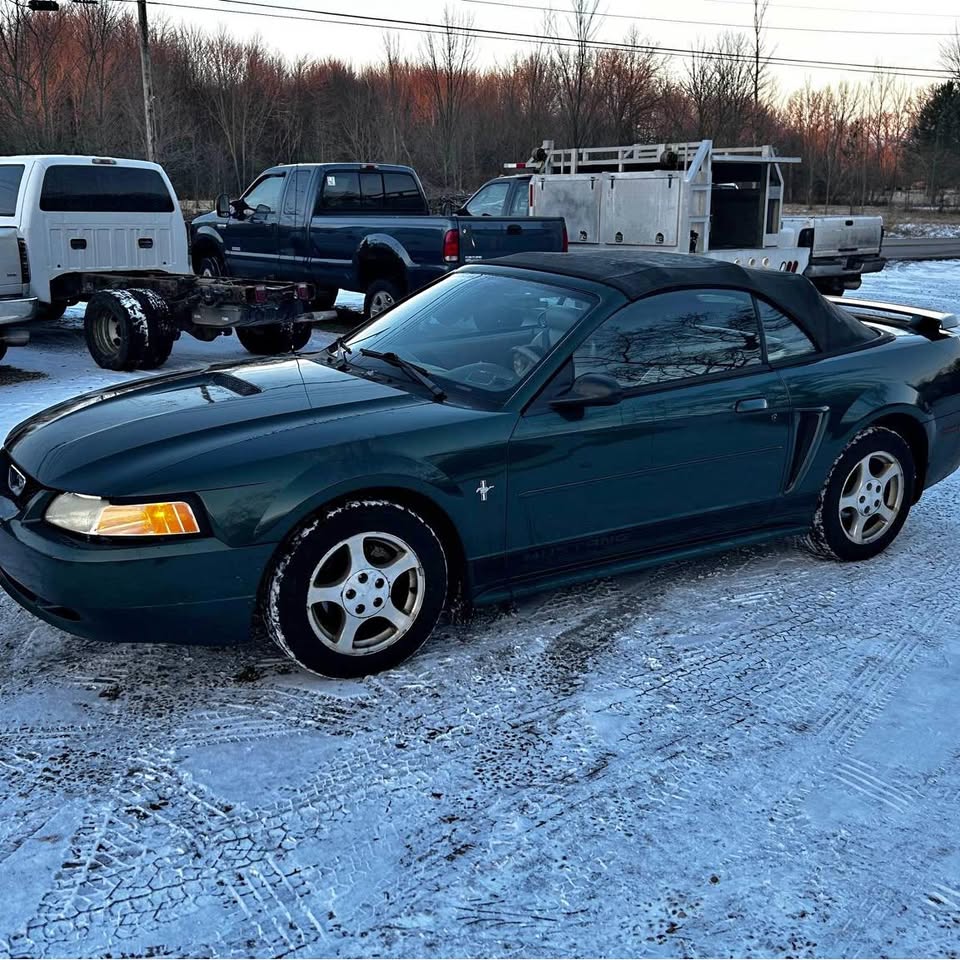 2002 Ford Mustang Deluxe's photo